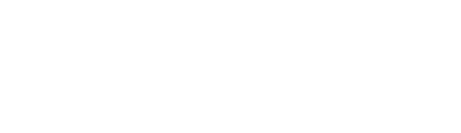 Lavina Tech